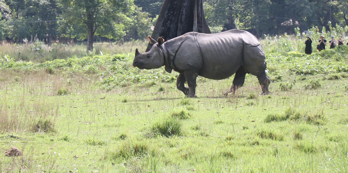 फाइल तस्बिर